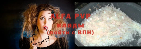 винт Алексин