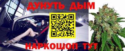 эйфоретик Славгород