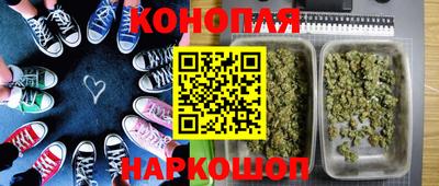 прущие крисы Сланцы