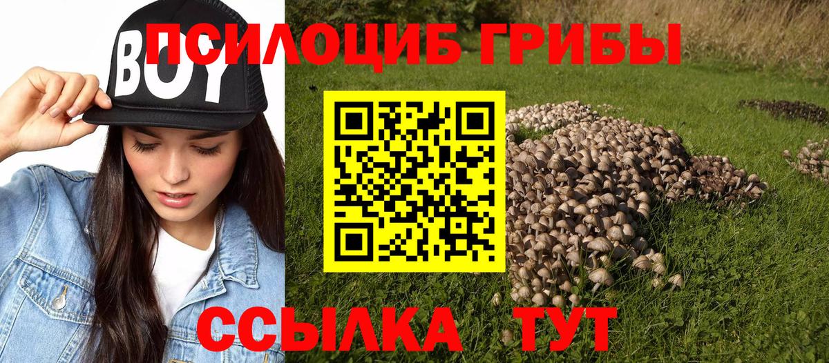 Псилоцибиновые грибы мицелий Кореновск