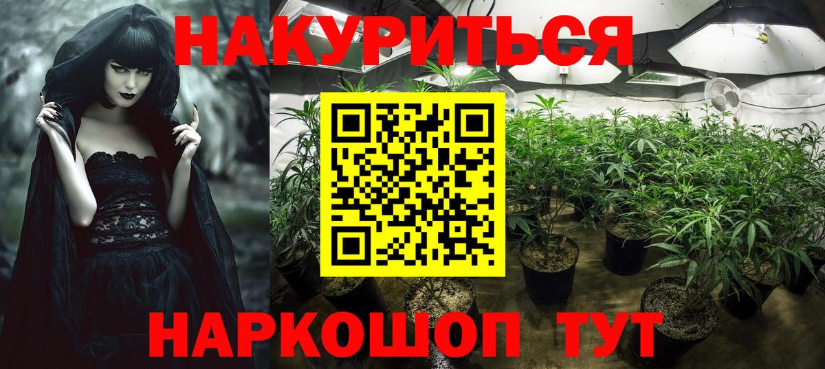 Кореновск  Конопля LSD WEED  Бошки Шишки план  Вход с VPN  Марихуана ГИДРОПОН 